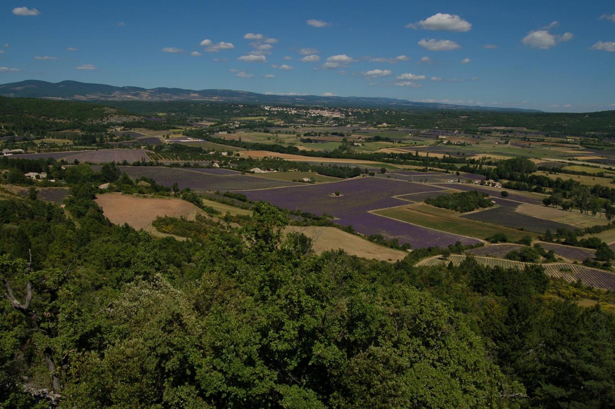 Le Gite De Lolivier En Provence Aramon Esterno foto