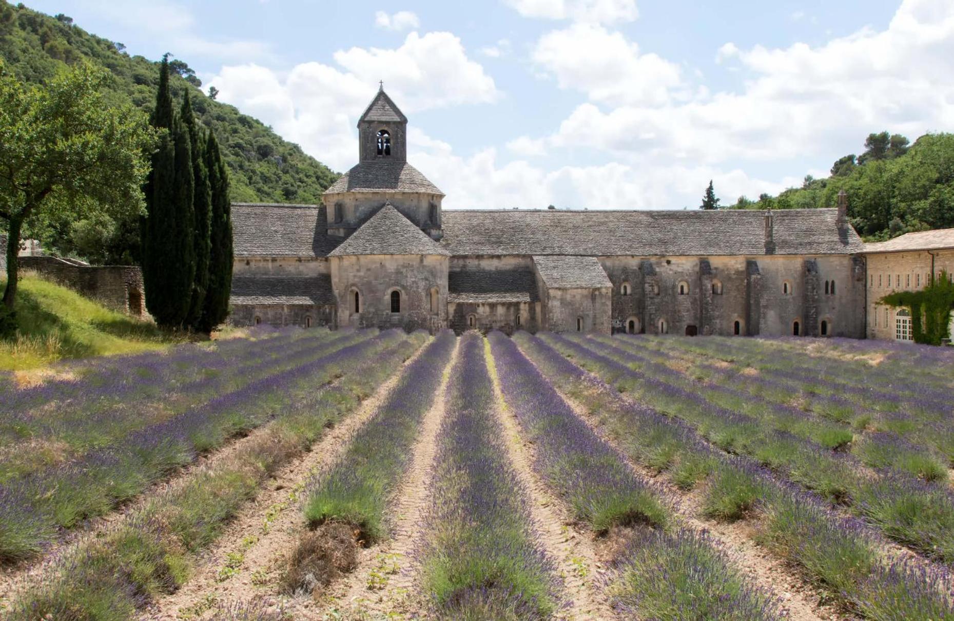 Le Gite De Lolivier En Provence Aramon Esterno foto