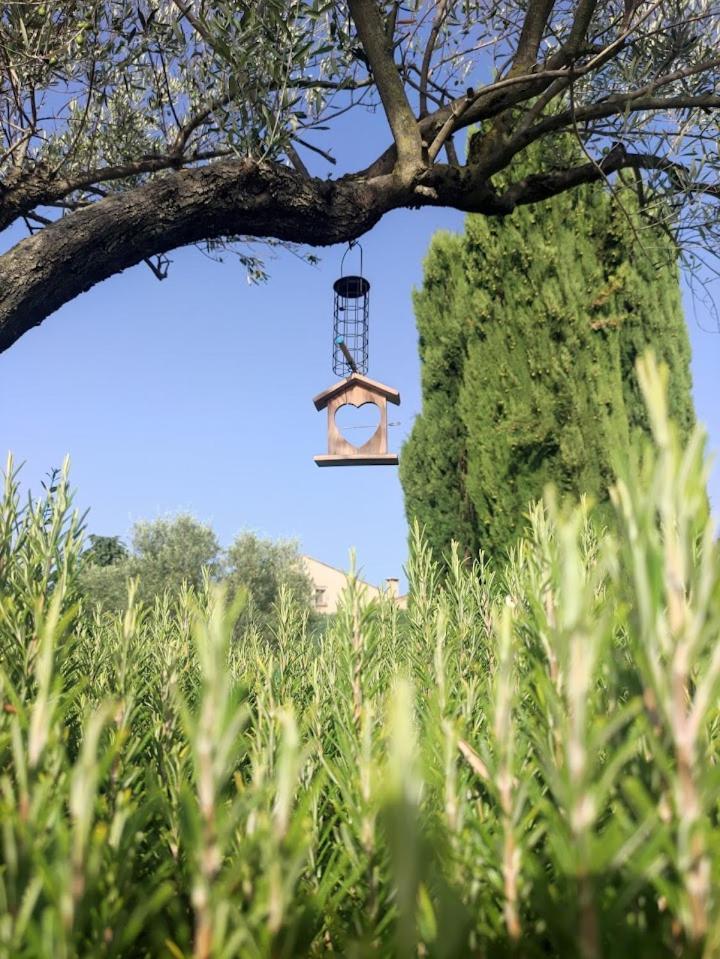 Le Gite De Lolivier En Provence Aramon Esterno foto