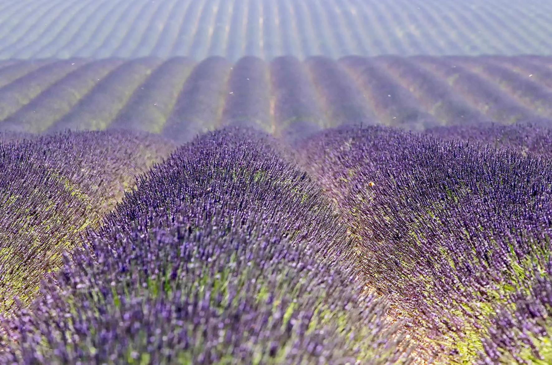 Le Gite De Lolivier En Provence Aramon Esterno foto