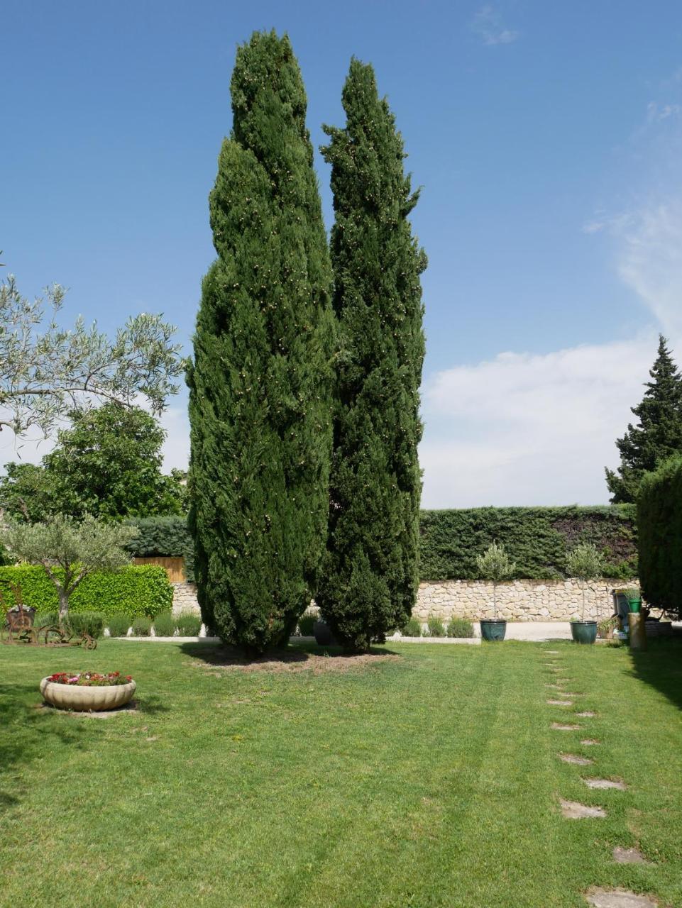 Le Gite De Lolivier En Provence Aramon Esterno foto